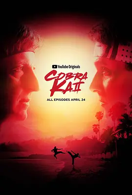 眼镜蛇 第二季 Cobra Kai Season 2